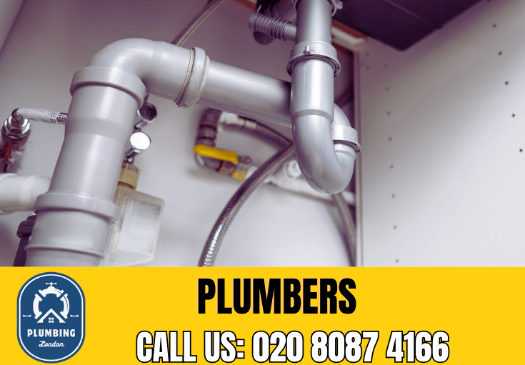  plumber Waddon