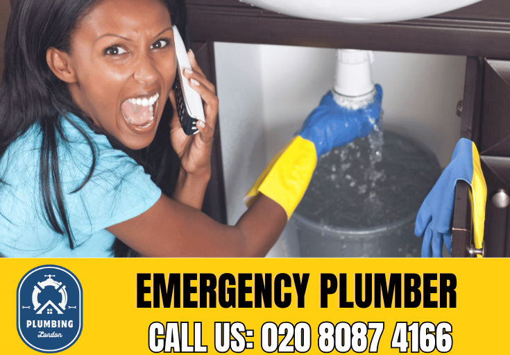 emergency plumber Croydon