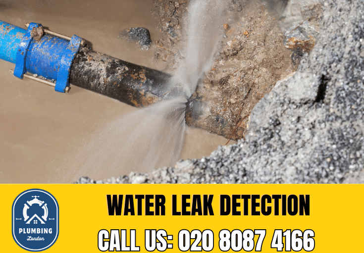 leak detection Croydon